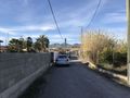 #5: View to the north from the confluence.