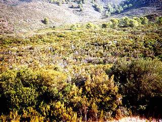 #1: 40N4E - view over confluence from the South - confluence is in the flat area in the middle distance