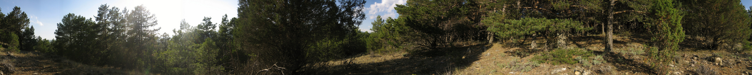Panoramica