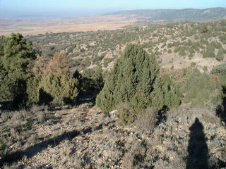 #1: General view