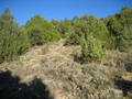 #3: Este / East