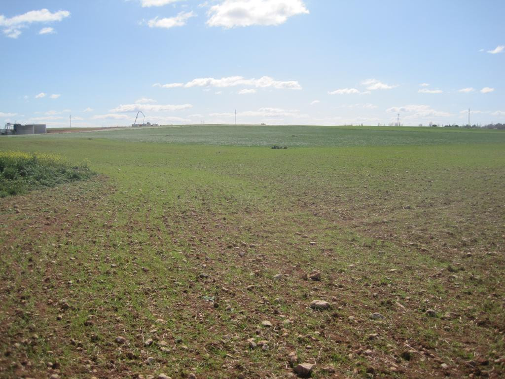 Süden; view south