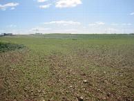 #3: Süden; view south