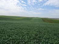 #4: South view