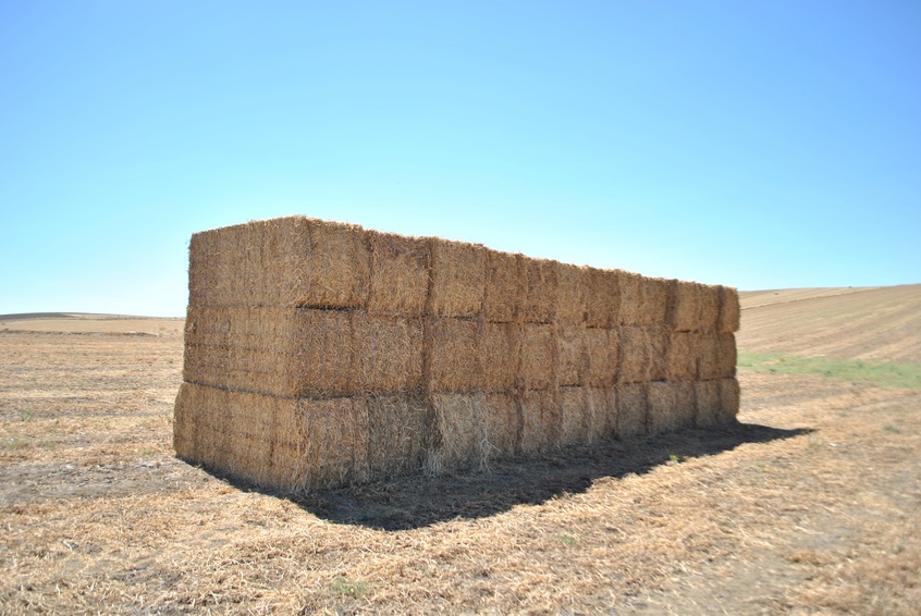 The straw bale