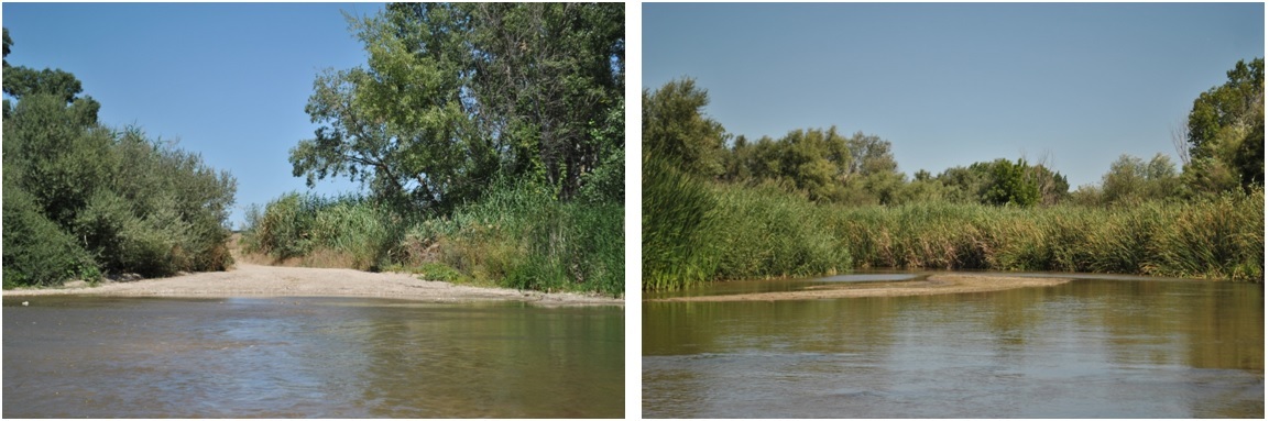 River Guadarrama, next to the confluence point