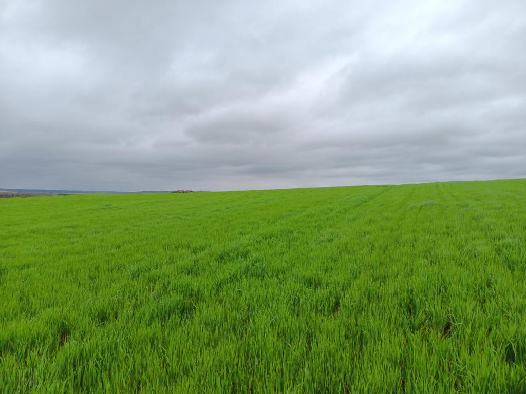 Norden; view north