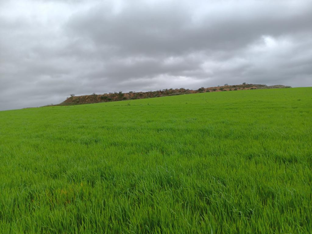 Osten; view east
