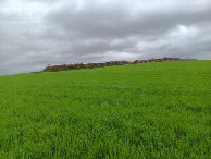 #2: Osten; view east
