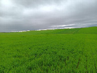#3: Süden; view south
