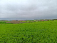 #4: Westen; view west