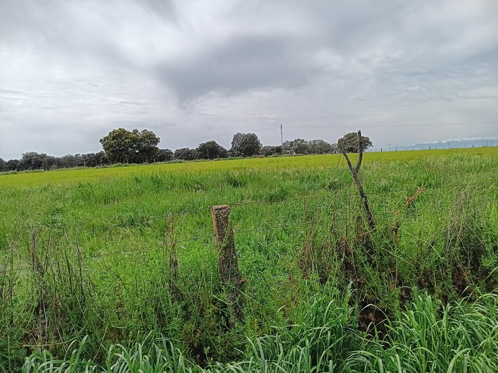 Westen; view west
