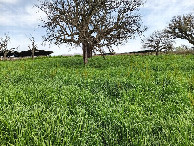 #2: Osten; view east