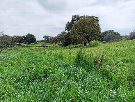 #3: Süden; view south