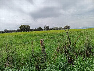 #4: Westen; view west