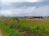 #8: cattle shelter on way to CP