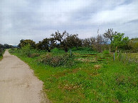 #9: gate towards CP