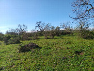 #3: Süden; view south