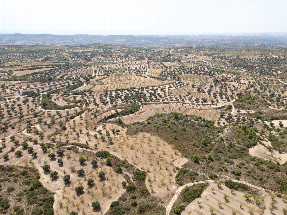 View West, from 120m above the point