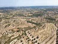 #10: View South, from 120m above the point