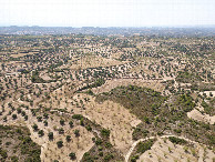 #11: View West, from 120m above the point