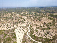 #9: View East, from 120m above the point