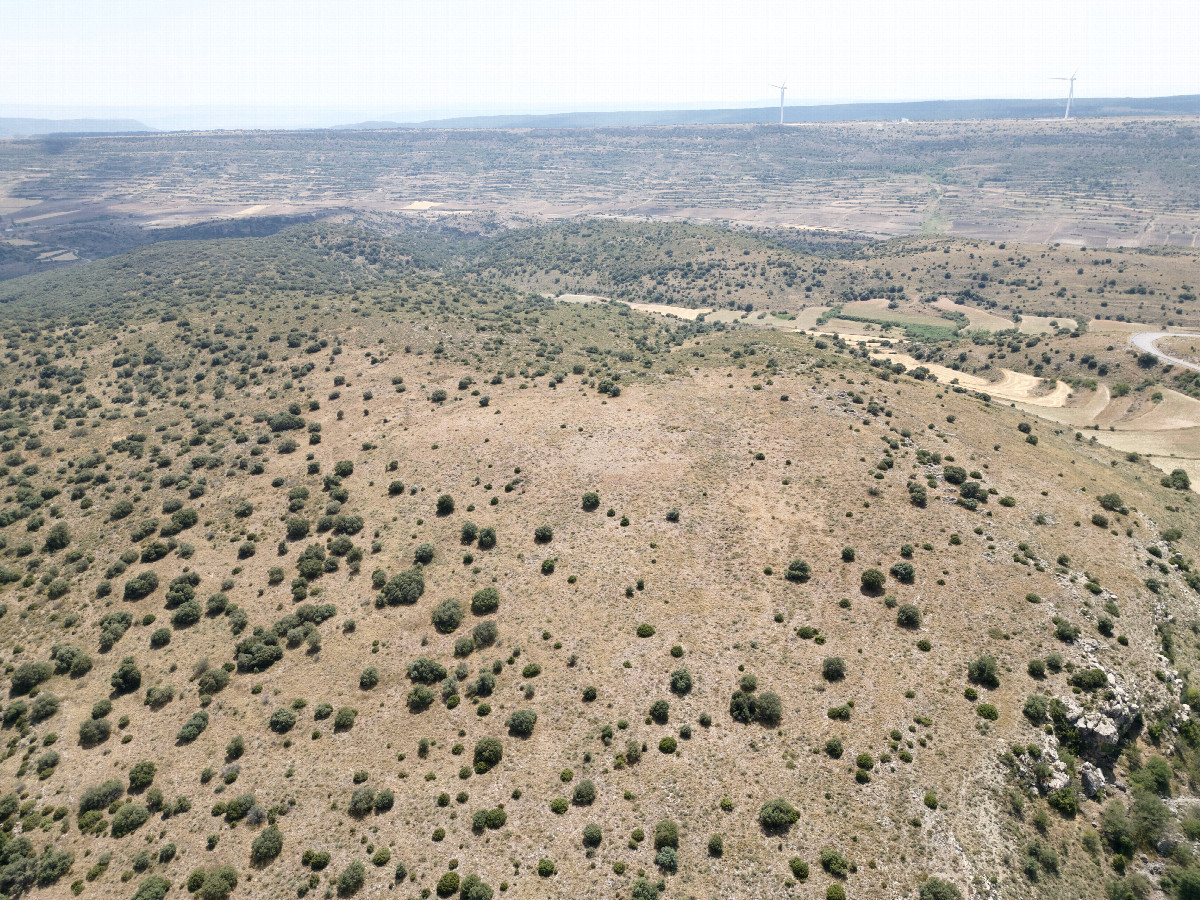 View South, from 120m above the point