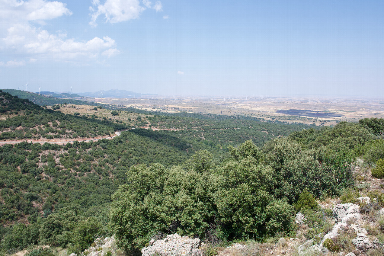 The confluence point lies on the edge of a rocky, scrub-covered ridge.  (This is also a view to the North.)