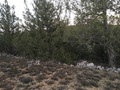 #3: View to the East