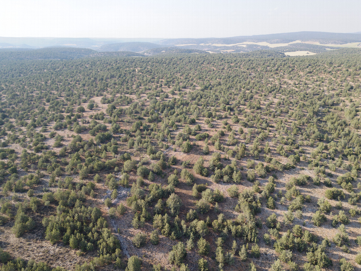 View North, from 120m above the point