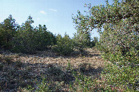 #2: View North