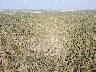 #9: View East, from 120m above the point