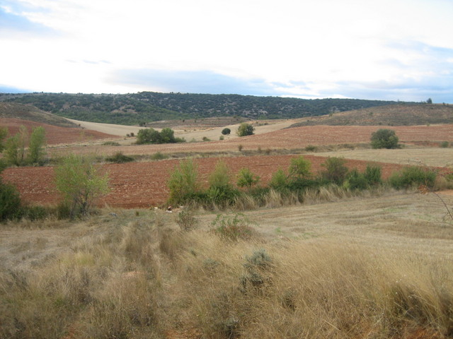 CONFLUENCIA / CONFLUENCE