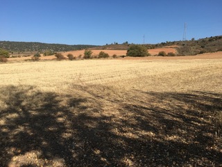 #1: The Confluence from 20 m distance