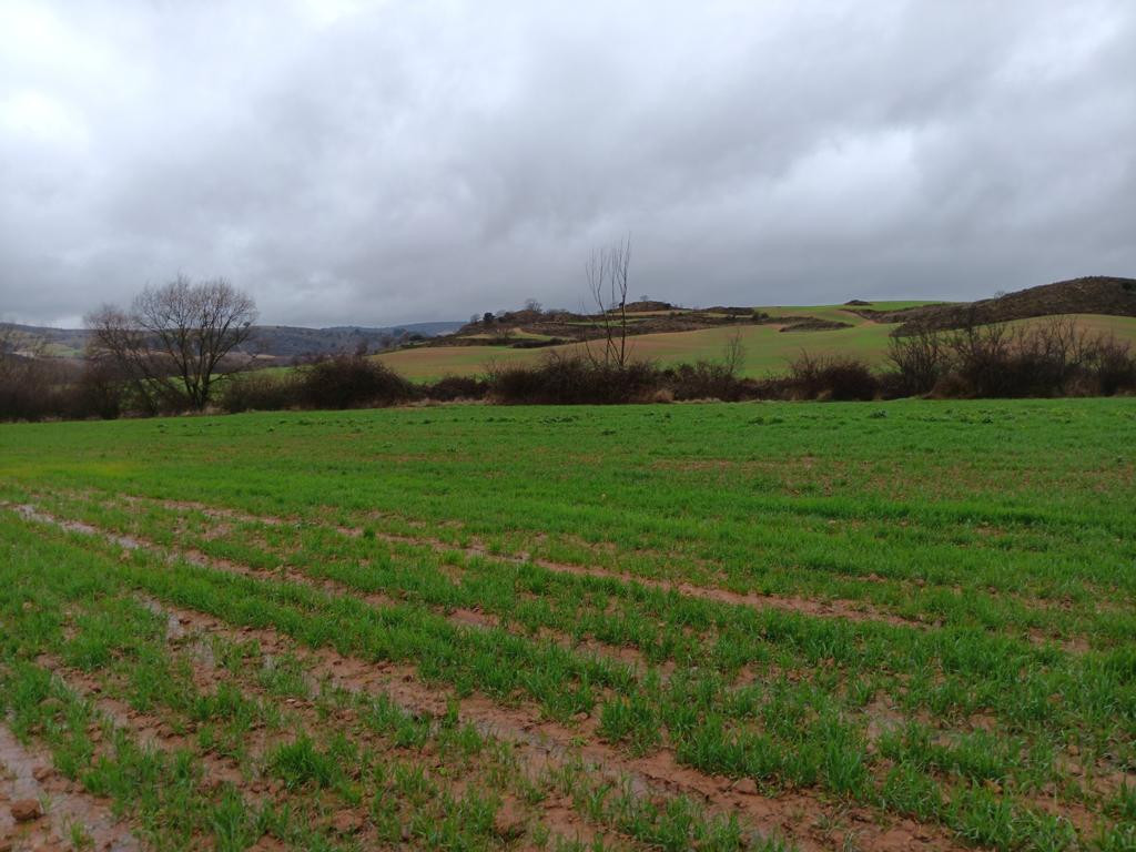 Westen; view west