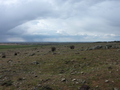 #5: View West