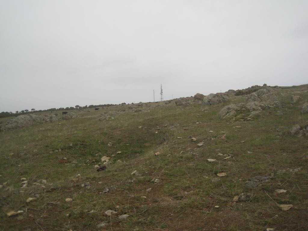 Norden; view north