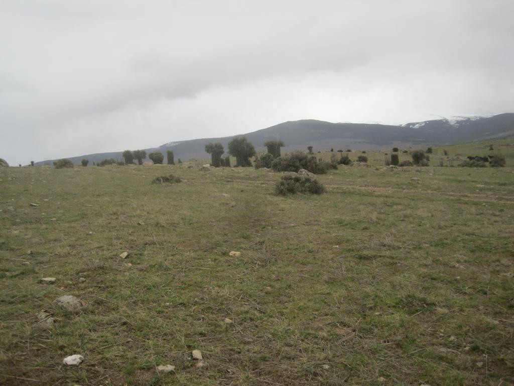 Osten; view east