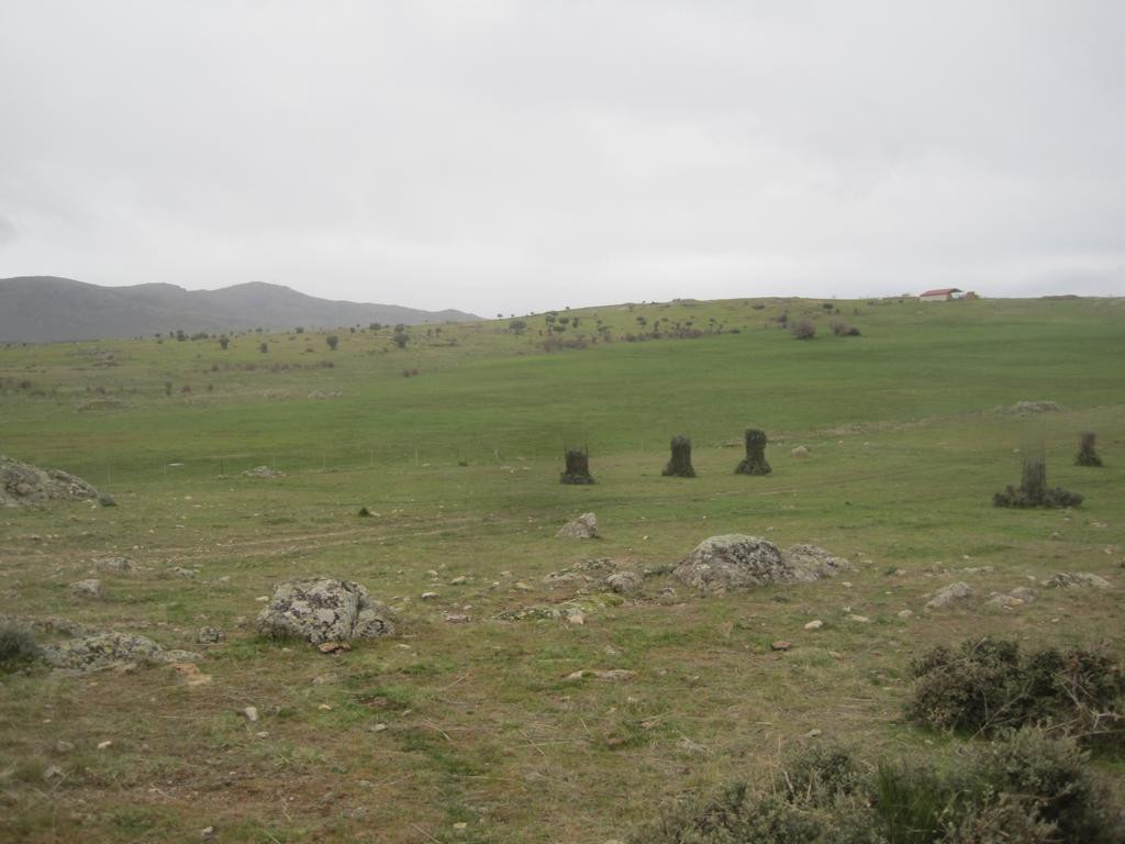 Süden; view south