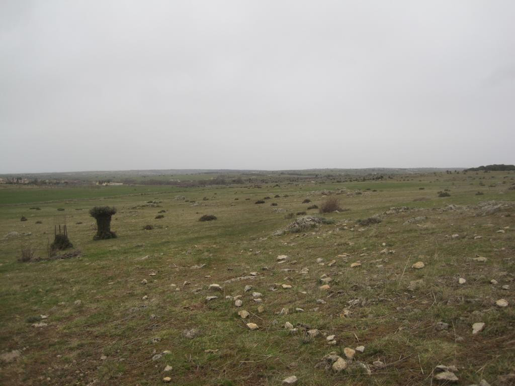 Westen; view west