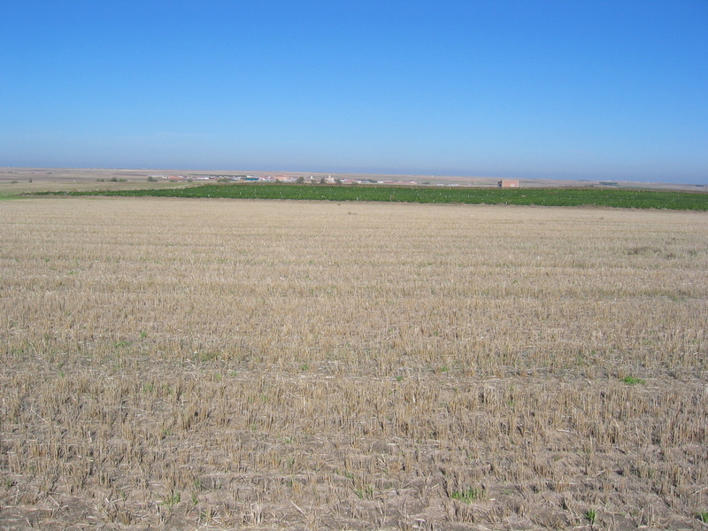 View to the North