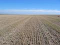 #10: View to the East