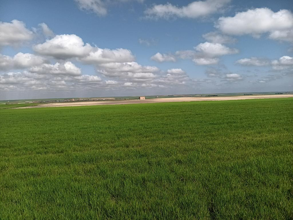 Norden; view north