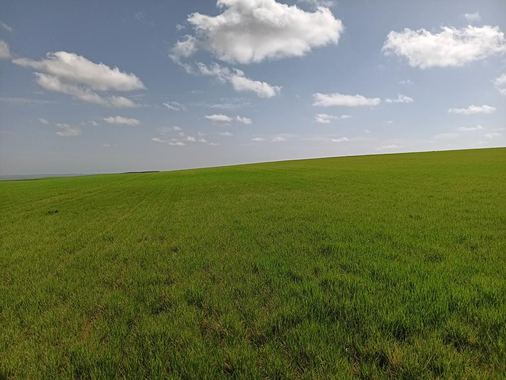 Osten; view east