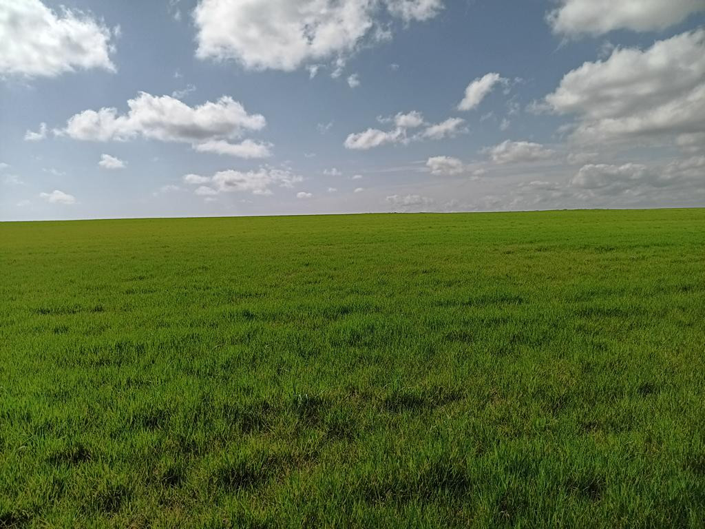 Süden; view south