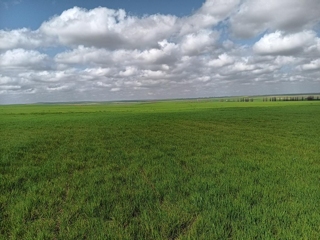 Westen; view west