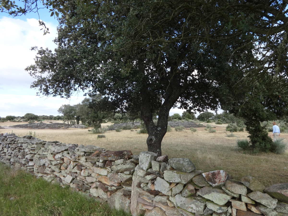 East view