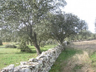 #10: CP area from 20 meters