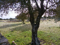 #2: Osten; view east