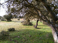#3: Süden; view south